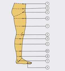 Messstellen für die Umfangbestimmung am Bein